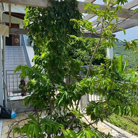 Bas De Villa Courbaril 부이영뜨 외부 사진